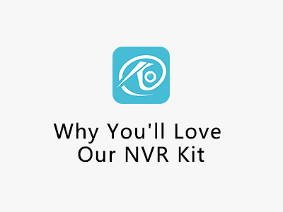 Why You'll Love Our NVR Kit